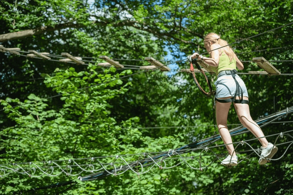 Aventura Park Brasov